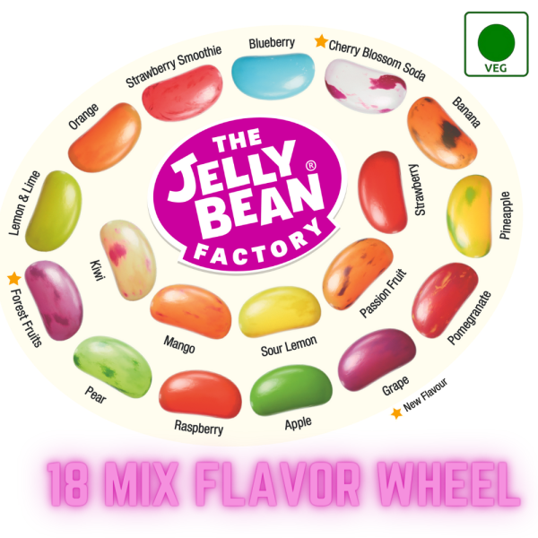The Jelly Bean Factory Żelki-fasolki 18 smaków tuba 90g
